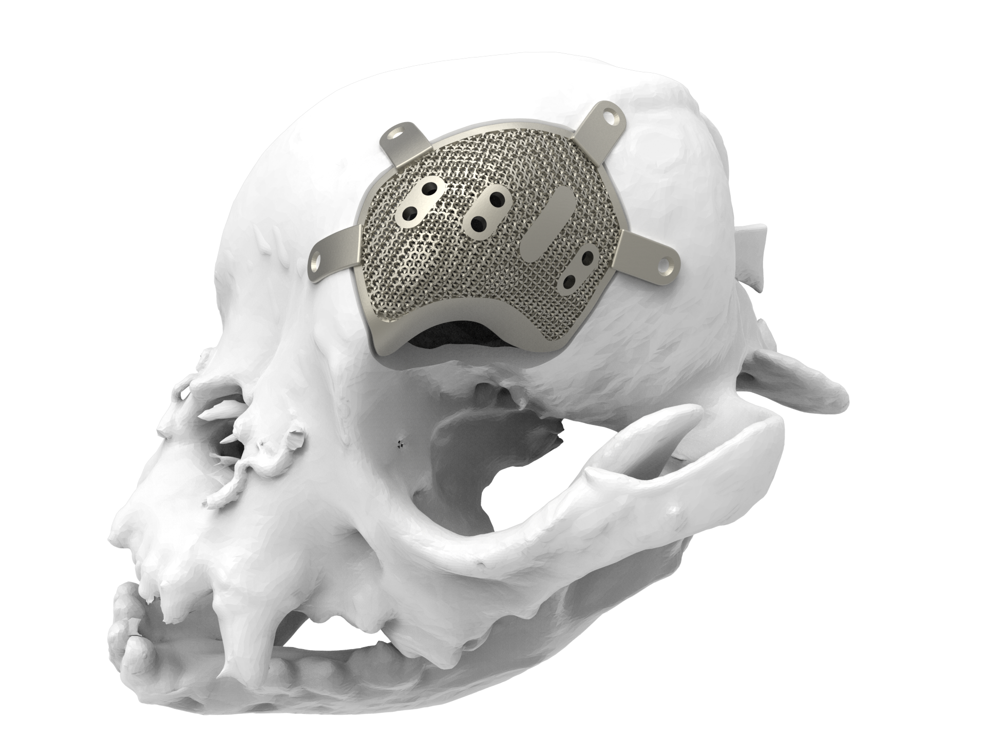 Veterinary CMF Implant